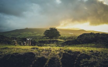 Que visiter dans les DOM TOM français ?