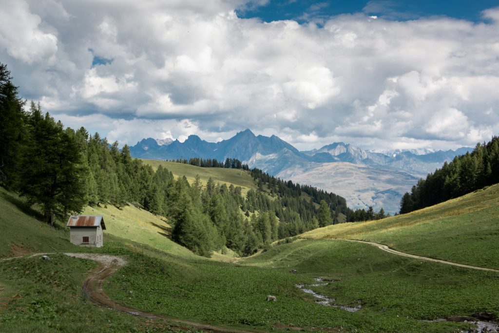 vue sur les montagnes en été